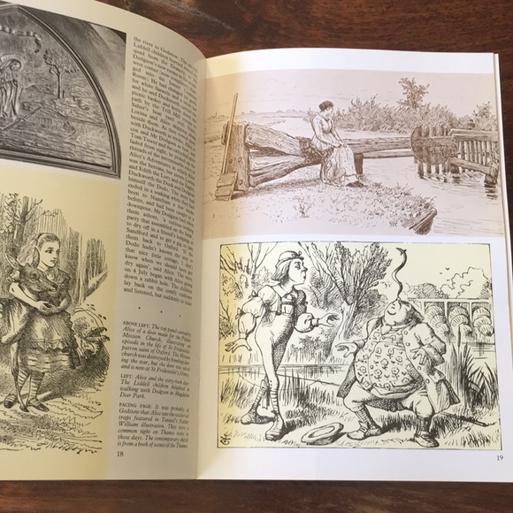 3 Alice in Wonderland Unique Bundle: 2 Used Books + 1 Melamine Plate - Picture 14 of 15